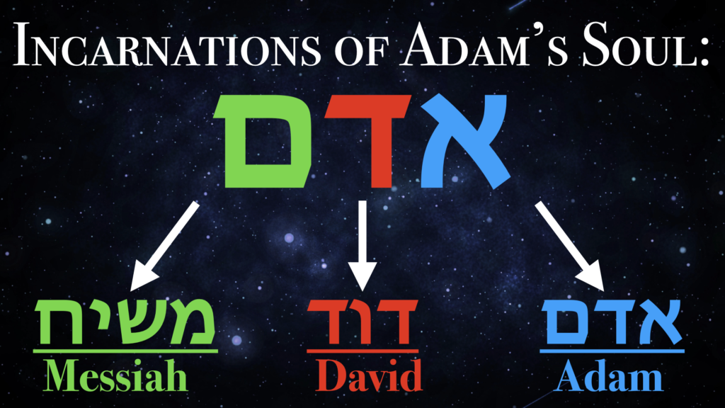 The notarikon technique is used to show how the Hebrew name "Adam" can be an acronym which stands for "Adam, David, Messiah," — the three incarnations of Adam's soul. 